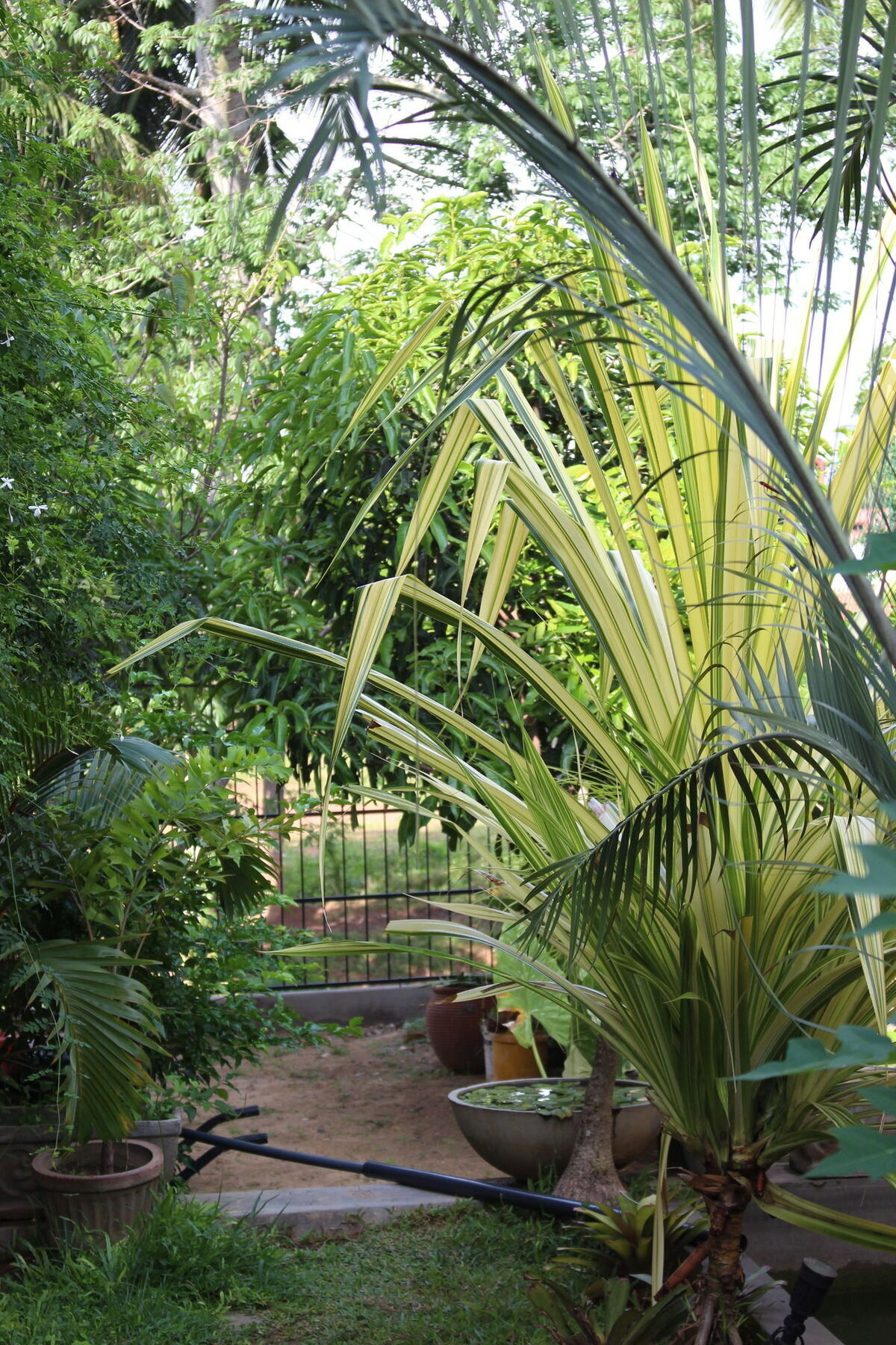 Villa Kapuru Negombo Exterior foto